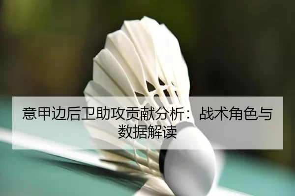 意甲边后卫助攻贡献分析：战术角色与数据解读
